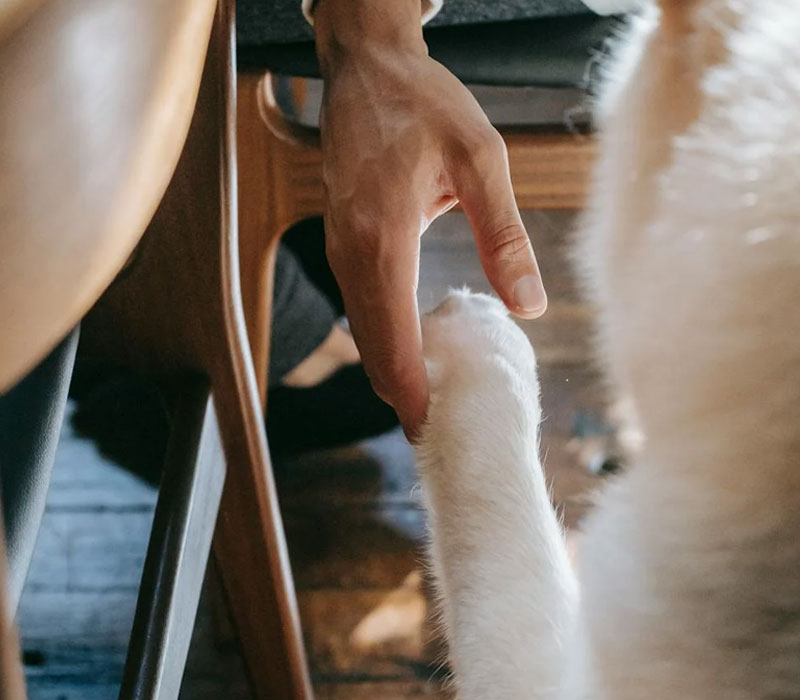 About Freeway's Pals